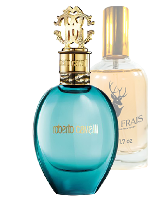 Versace Aqua de roberto cavalli
